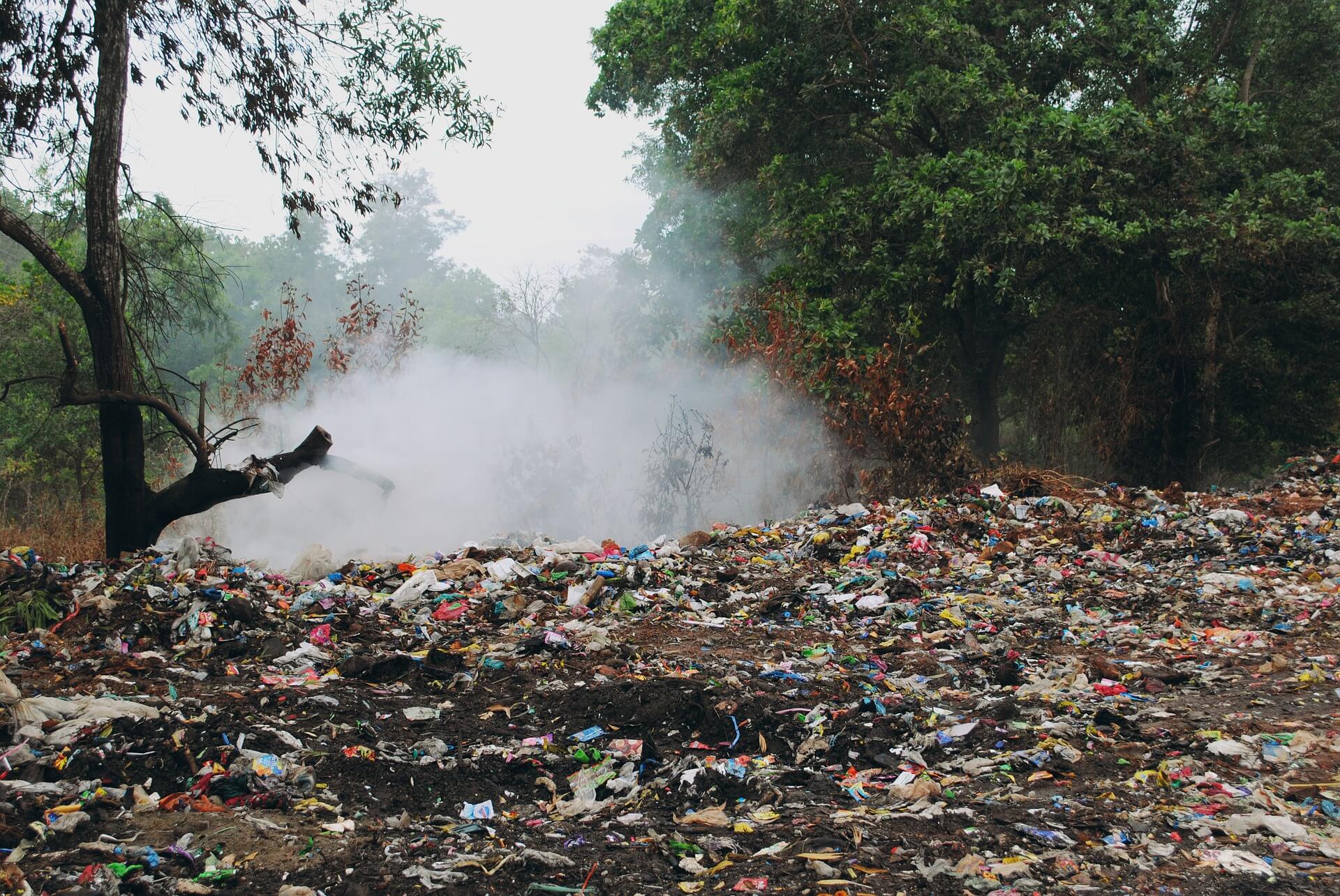 Los vertederos del mundo acumulanmás de 6 toneladas de plástico sin reciclar.