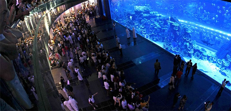 Dubai Mall Aquarium en el complejo comercial Burj Dubai