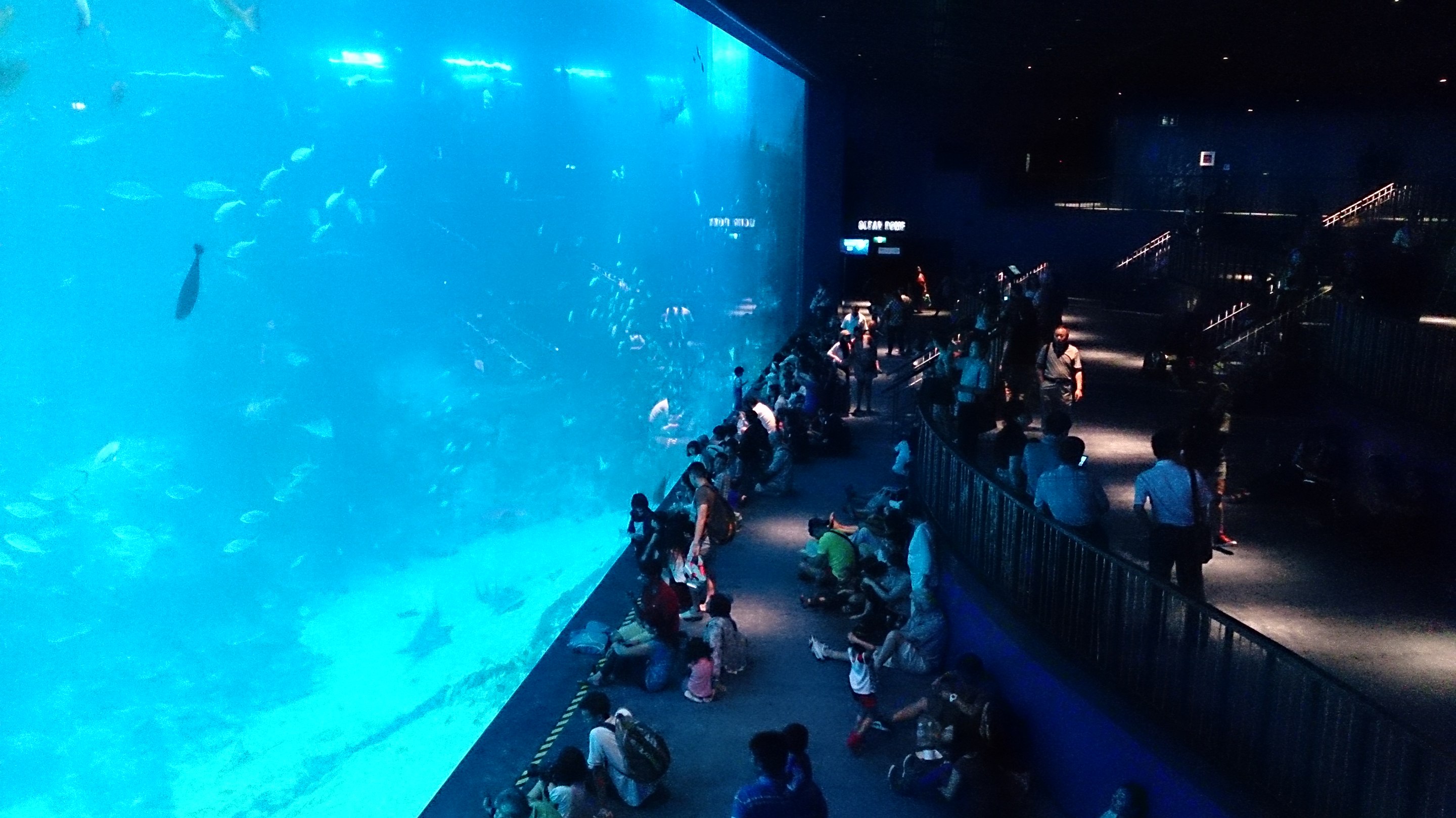 Marine Life Park en Singapur, el segundo acuario más grande del mundo