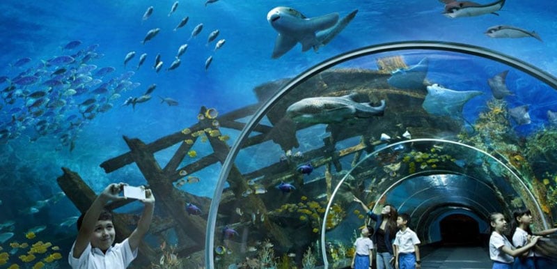 Oceanario de Moscú, acuario más grande de Rusia 